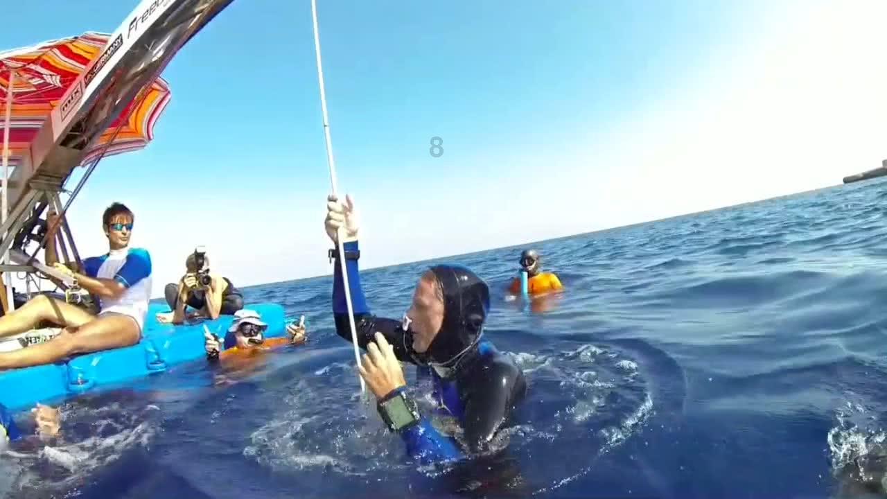 烘培蛋糕记忆卡